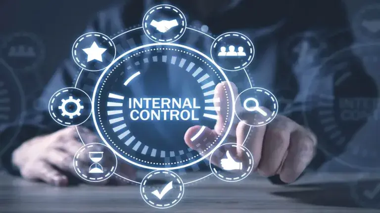 Internal Control Services in Dubai
